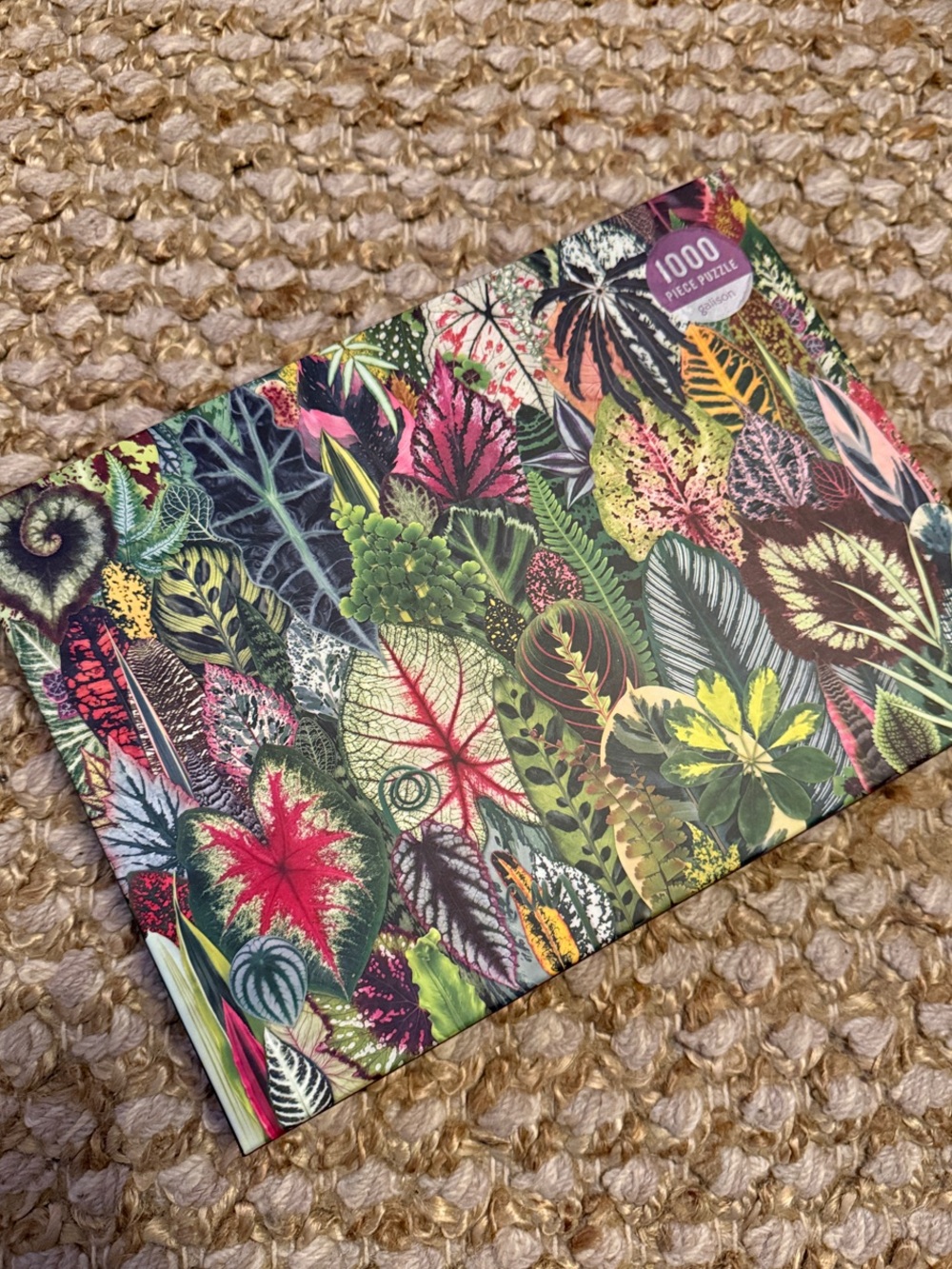 Botanical Leaves 1000-Piece Puzzle - Multicolor